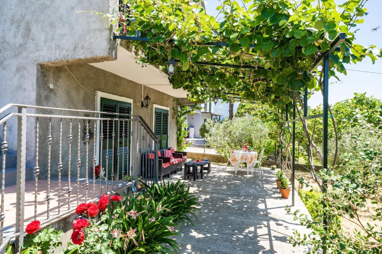 Apartment Laurel Leaf Lovorno Dış mekan fotoğraf